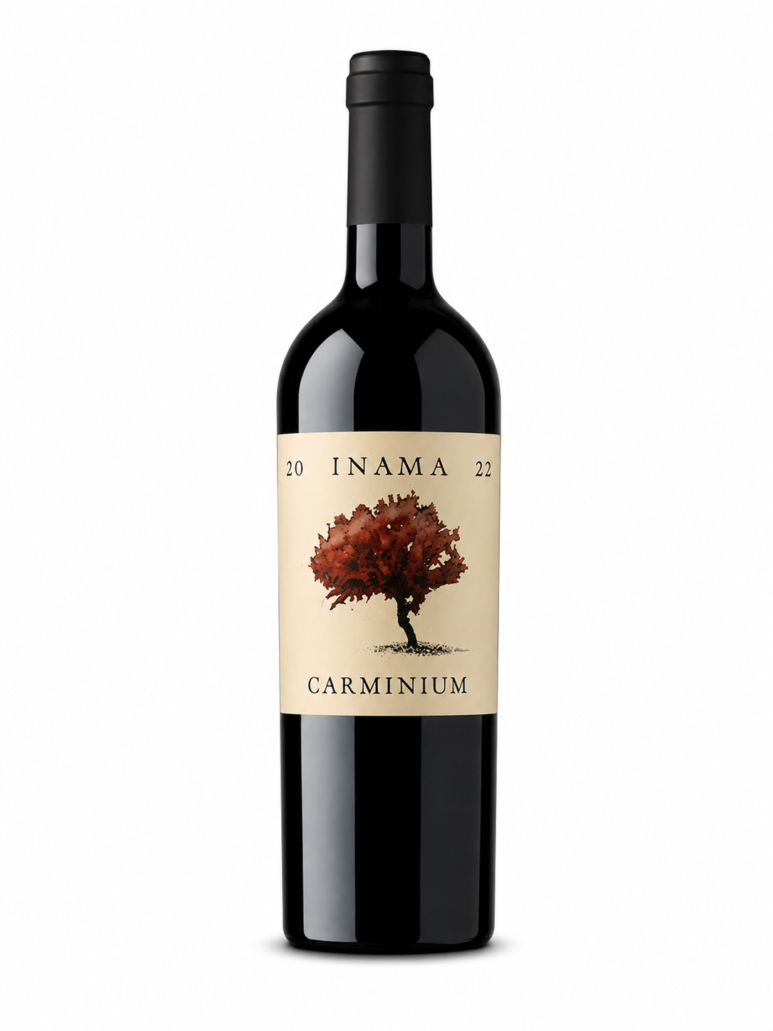 Inama Carminium Colli Berici DOC bottiglia vino rosso Veneto